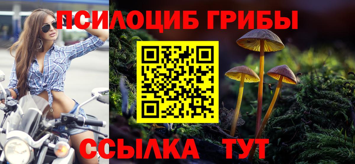 Псилоцибиновые грибы мицелий Кировск