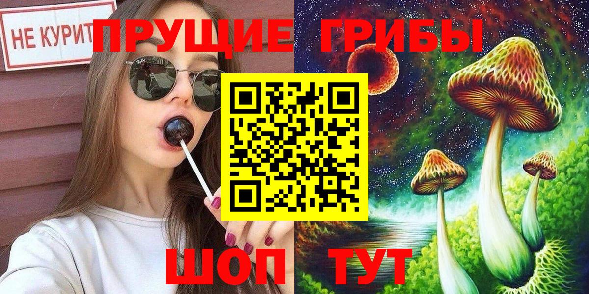 Кировск  Галлюциногенные грибы GOLDEN TEACHER  Вход с VPN  Псилоцибиновые грибы Cubensis 